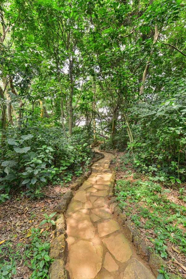 Serenada Eco Resort 무코노 외부 사진